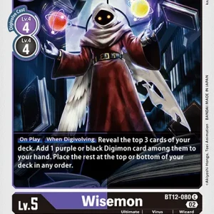 Wisemon BT12-080