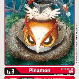 Pinamon BT13-001