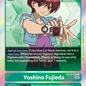 Yoshino Fujieda BT13-100