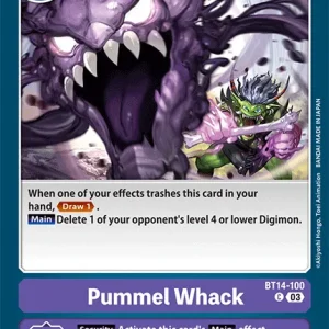 Pummel Whack BT14-100