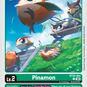 Pinamon BT20-004