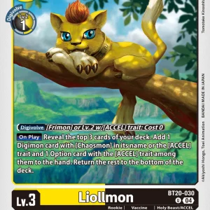 Liollmon BT20-030