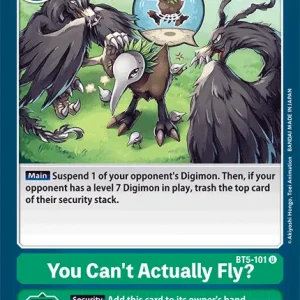 You Can't Actually Fly? BT5-101
