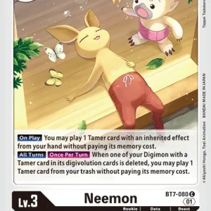 Neemon BT7-080