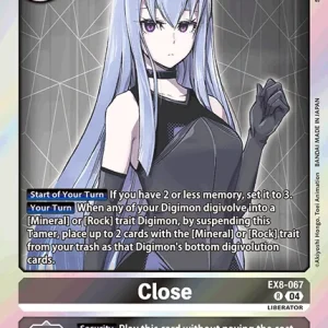 Close EX8-067
