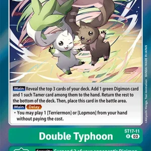 Double Typhoon ST17-11
