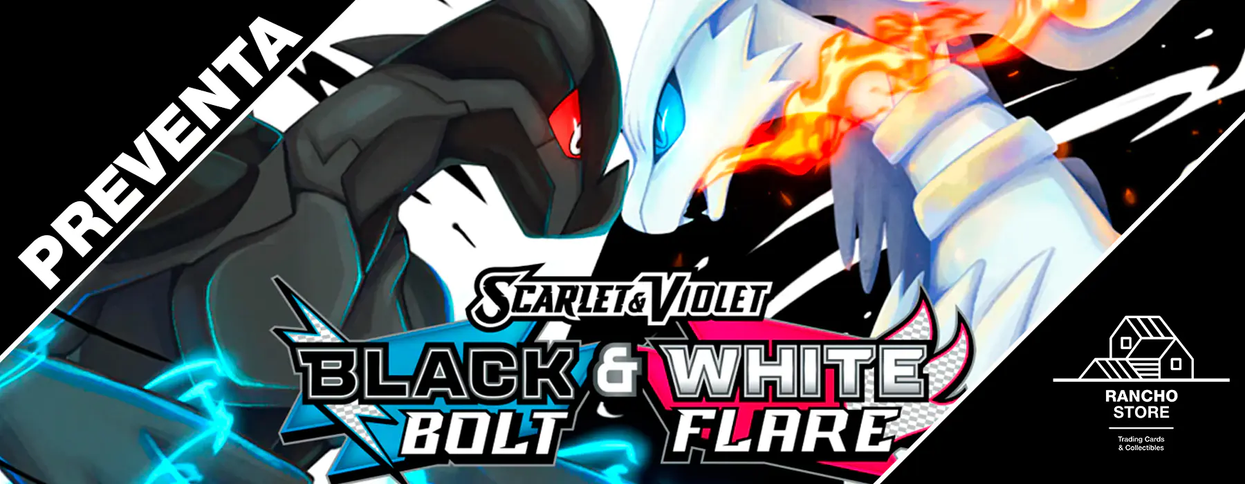 Pokémon Banner