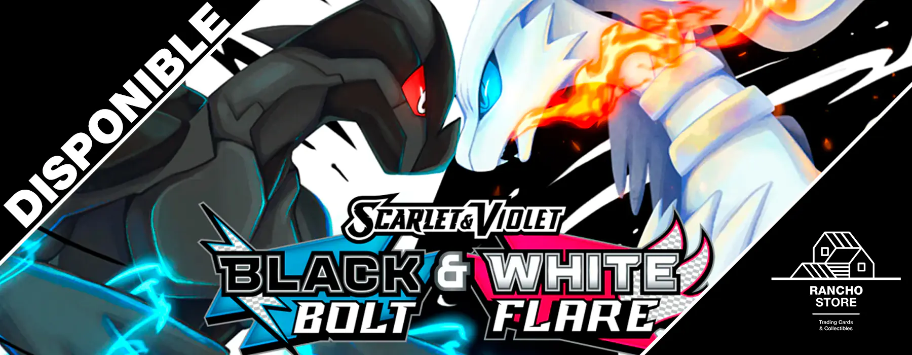 Pokémon Banner