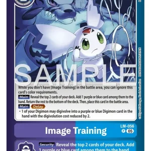 Image Training LM-056-P
