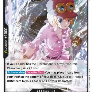 Koala OP13-081-C